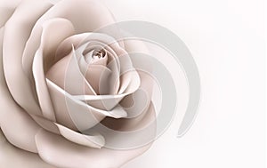 Vintage background with a beautiful pink rose. Vec