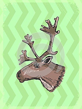 Vintage background with caribou