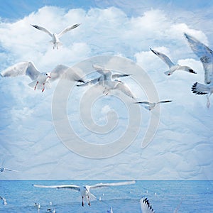 Vintage background with clouds and seagull