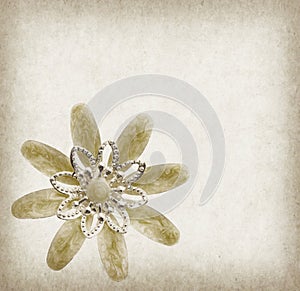 Vintage background with flower brooches