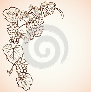 Vintage background with grapes