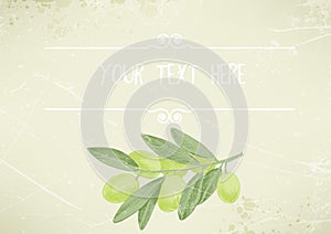 Vintage background with a green olive branch, place for text