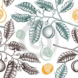 Vintage background with hand drawn nutmeg tree illustration. Vector hand drawn spice plant design. Engraved style seamless pattern