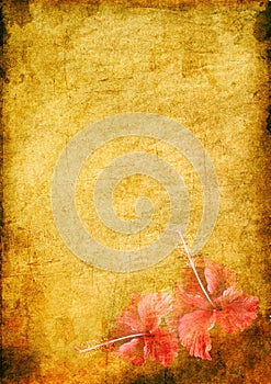 Vintage background with a hibiskus photo