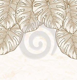 Vintage background. Old crumpled paper with leaves Monstera with outline in the corner.