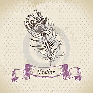 Vintage background with peacock feather