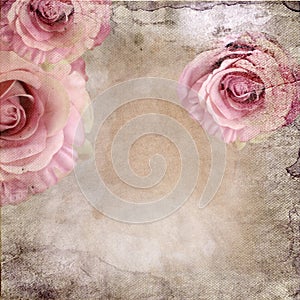 Vintage background with roses