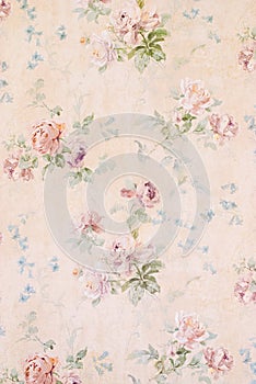 Vintage Background with Roses - Floral Illustration