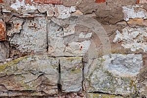 Vintage background. Of the 19th century.