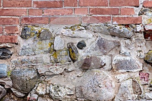 Vintage background. Of the 19th century.