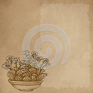 Vintage background with vase of daisies on old paper