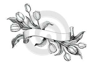 Vintage banner with tulips flower hand drawing vintage clip art
