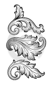 Vintage baroque floral scroll set ornament vector