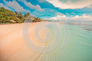 Vintage beach landscape. Beautiful tropical view, palm trees and calm blue sea. Summer landscape, travel and vacation concept