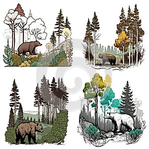 Vintage bear Vector art logo-style wildlife concept.