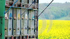 vintage beehive truck on the yellow rapeseed meadow with flying swarming bees 4K