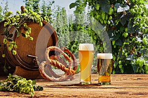 Vintage beer barrel and glasses with frothy beer, wheat and hops on wooden table over hop gardens and nature landscape