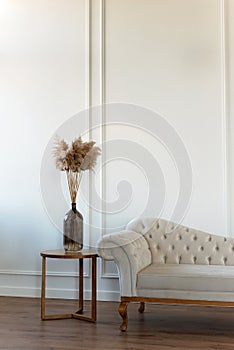Vintage beige sofa in velor upholstery in a modern interior, with a vase of dried flowers. Interior design. Soft selective focus