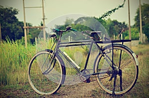 Vintage bicycle