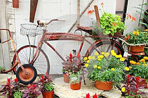 Vintage Bicycle Displayed in Flower Garden