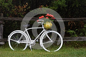 Vintage Bicycle with Flowers