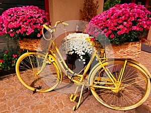 Vintage bicycle with flowers in baskets