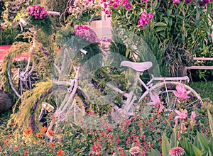 Vintage bicycle garden