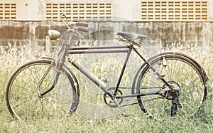Vintage Bicycle at garden fields with vintage filter