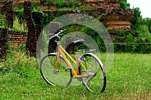 Vintage bicycle on green meadow.