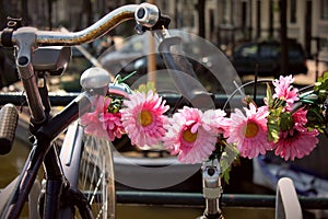 Vintage Bicycle Handlebars With Pink Plastic Flowers, Retro Style