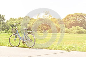 vintage bicycle standing in the side of rice field