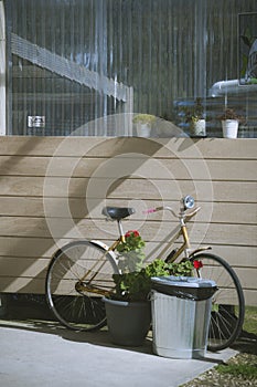 Vintage bicycle on vintage wooden house wall