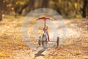 Vintage bike outdoor in autumn park