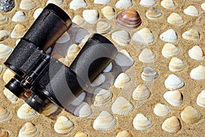 Vintage Binoculars, Compass and Seashells. Marine Background.