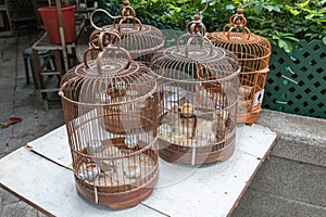 Vintage Bird Cages