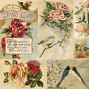 Vintage Bird and flowers collage background