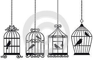 Vintage birdcages with birds