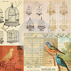 Vintage Birds and cages collage montage background
