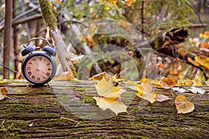 Vintage black alarm clock on autumn leaves. Time change abstract photo.