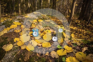 Vintage black alarm clock on autumn leaves. Time change abstract photo.