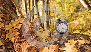 Vintage black alarm clock on autumn leaves. Time change abstract photo.