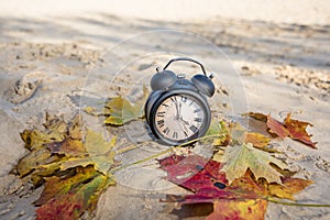 Vintage black alarm clock on autumn leaves. Time change abstract photo.