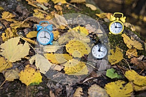 Vintage black alarm clock on autumn leaves. Time change abstract photo. Daylight saving time