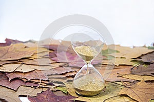 Vintage black alarm clock on autumn leaves. Time change abstract photo. Daylight saving time