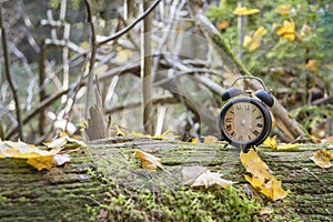 Vintage black alarm clock on autumn leaves. Time change abstract photo. Daylight saving time