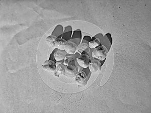 vintage black and white bagroun