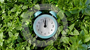 vintage blue alarm clock lies in basil herb. beautiful clock counts down to noon or midnight. Retro clock against