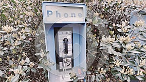 Vintage Blue outdoors public payphone booth in foliage