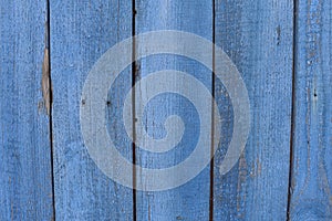 vintage blue painted wood background texture with knots. Blue abstract background or grain texture Copy Space