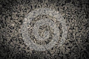 Vintage blur tiny green leaves background, Texture